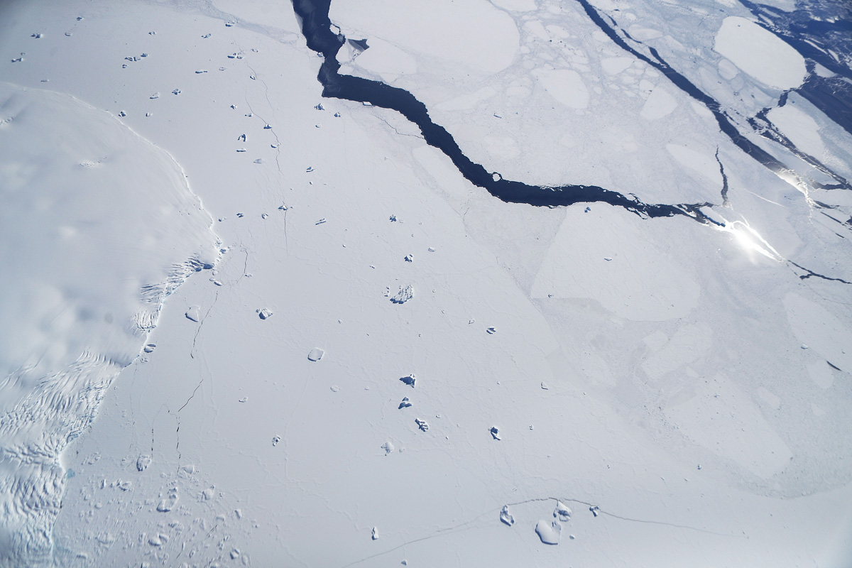 Amazing Antarctica