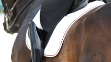 A close up of a grand prix dressage horse and rider showing the saddle pad, saddle, upper part of the rider&rsquo;s patent black boots, tails of their black coat with the horse's head, wearing a double bridle, out of focus facing away from the camera.