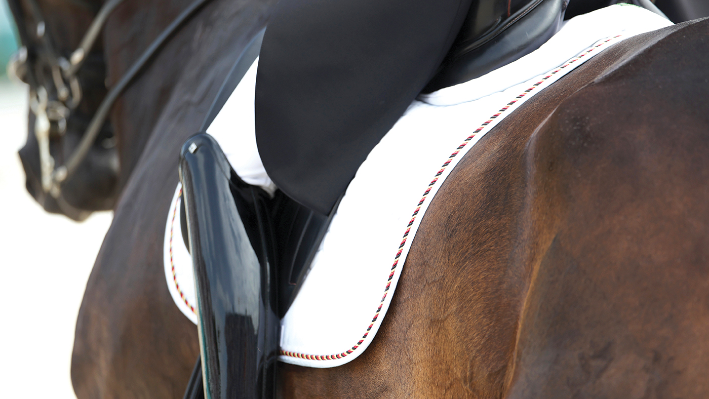 A close up of a grand prix dressage horse and rider showing the saddle pad, saddle, upper part of the rider&amp;rsquo;s patent black boots, tails of their black coat with the horse's head, wearing a double bridle, out of focus facing away from the camera.