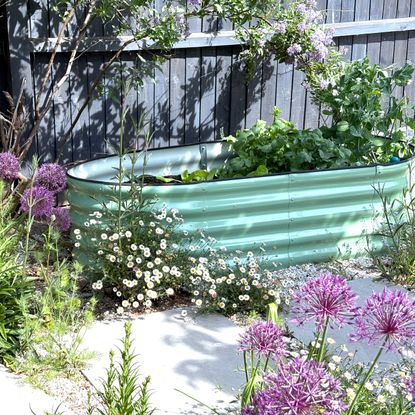 pale green corrugated metal raised bed filled with plants and surrounded with flowers