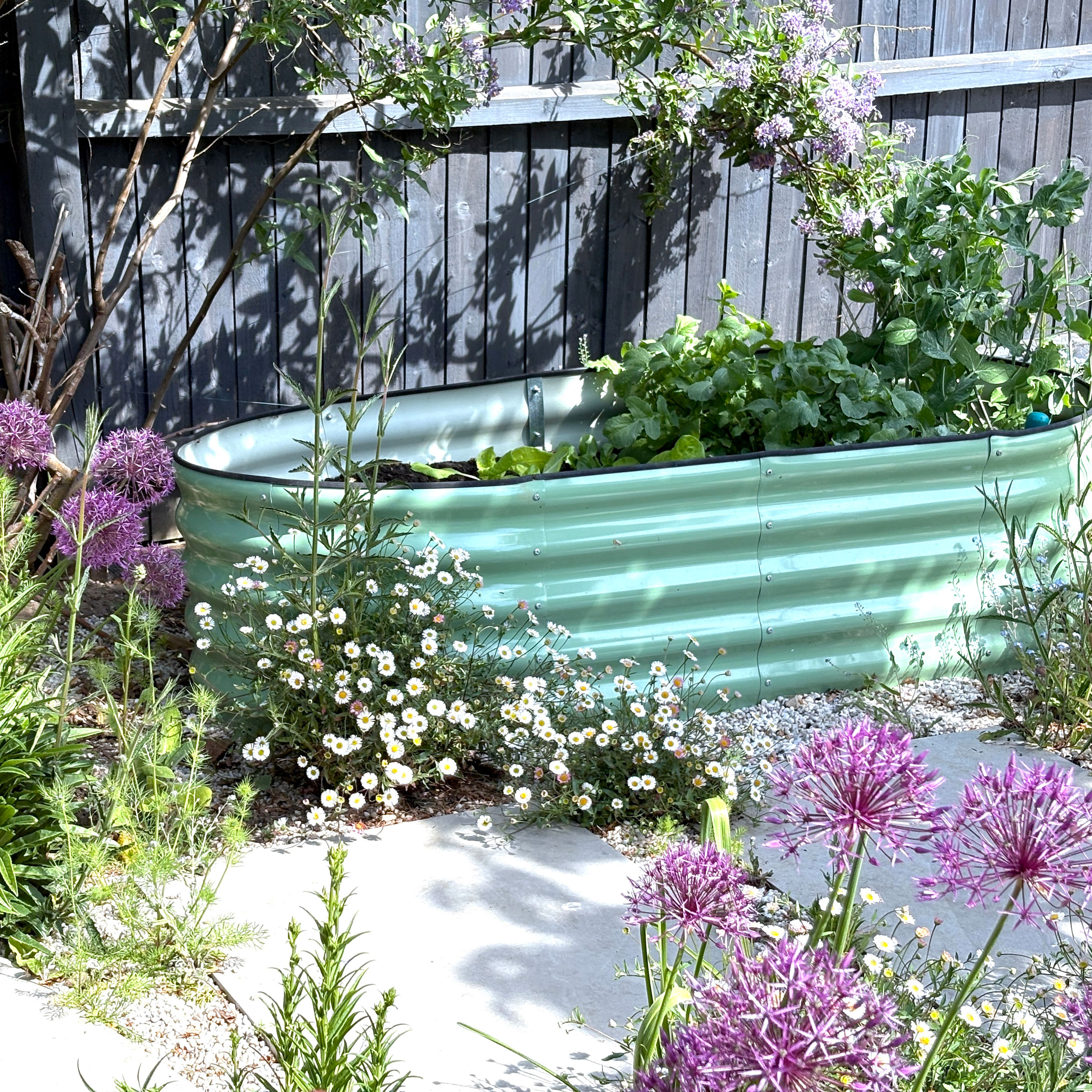 pale green corrugated metal raised bed filled with plants and surrounded with flowers