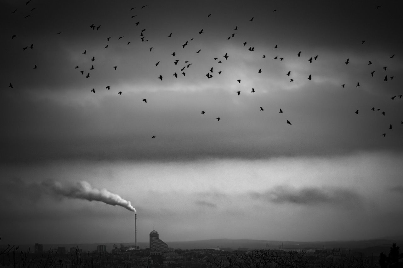 Monochrome photograph of a flock of birds above a landscape with smoke emerging from a factory tower