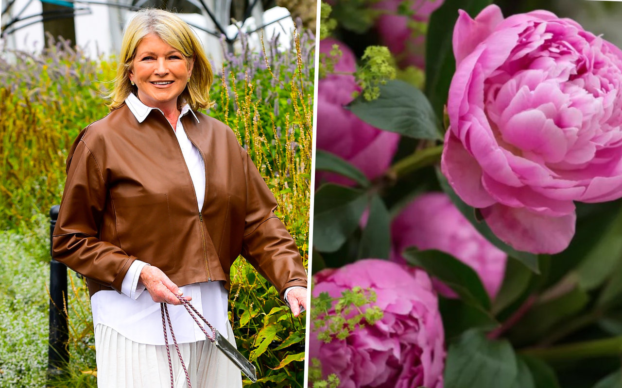 Martha Stewart and peonies 