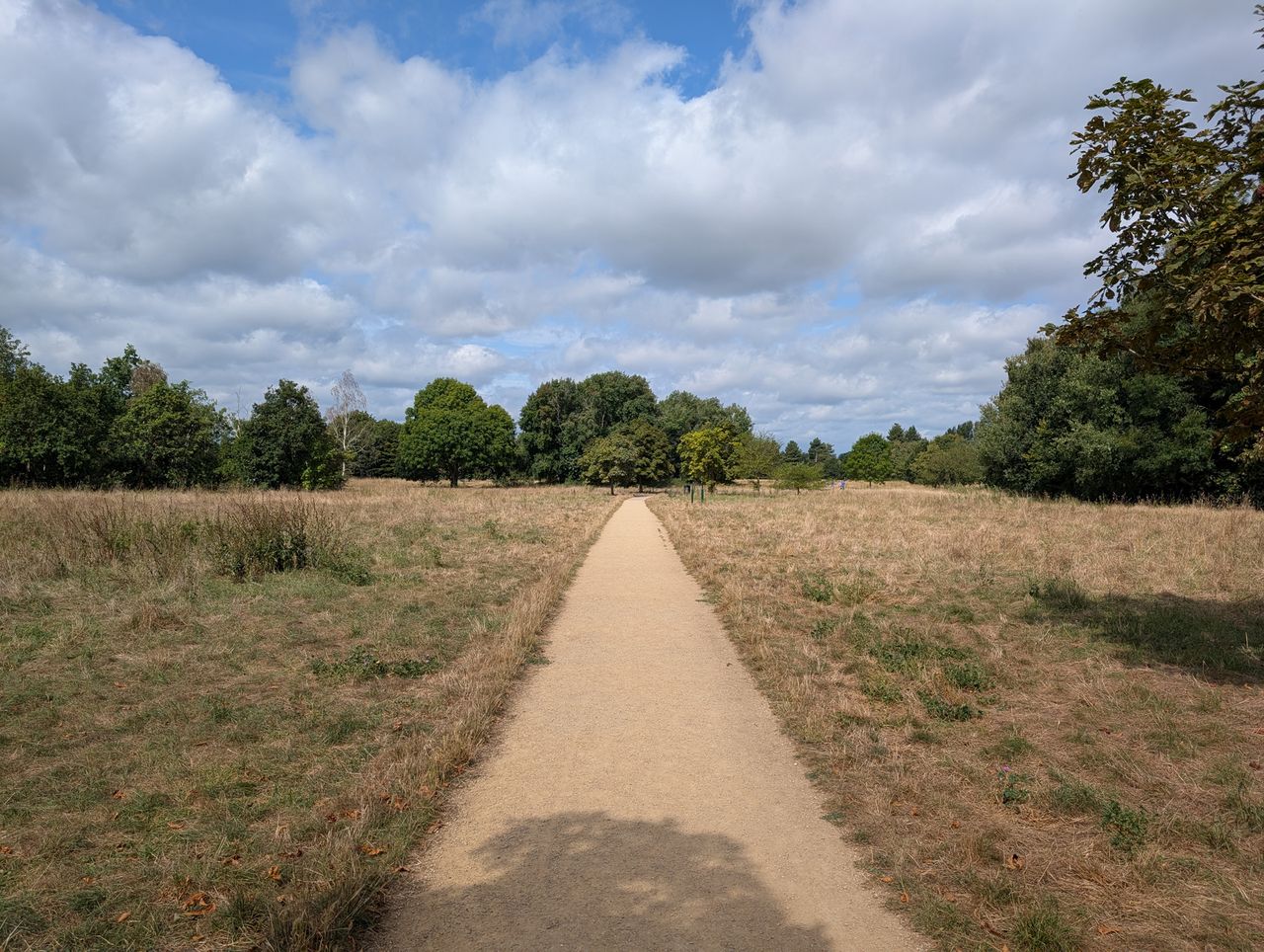 Google Pixel 9 sample photos