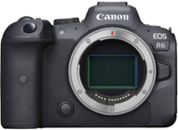 Canon EOS R6 + RF 35mm f/1.8 Macro IS STM &nbsp;| AU$4,836 AU$4,536