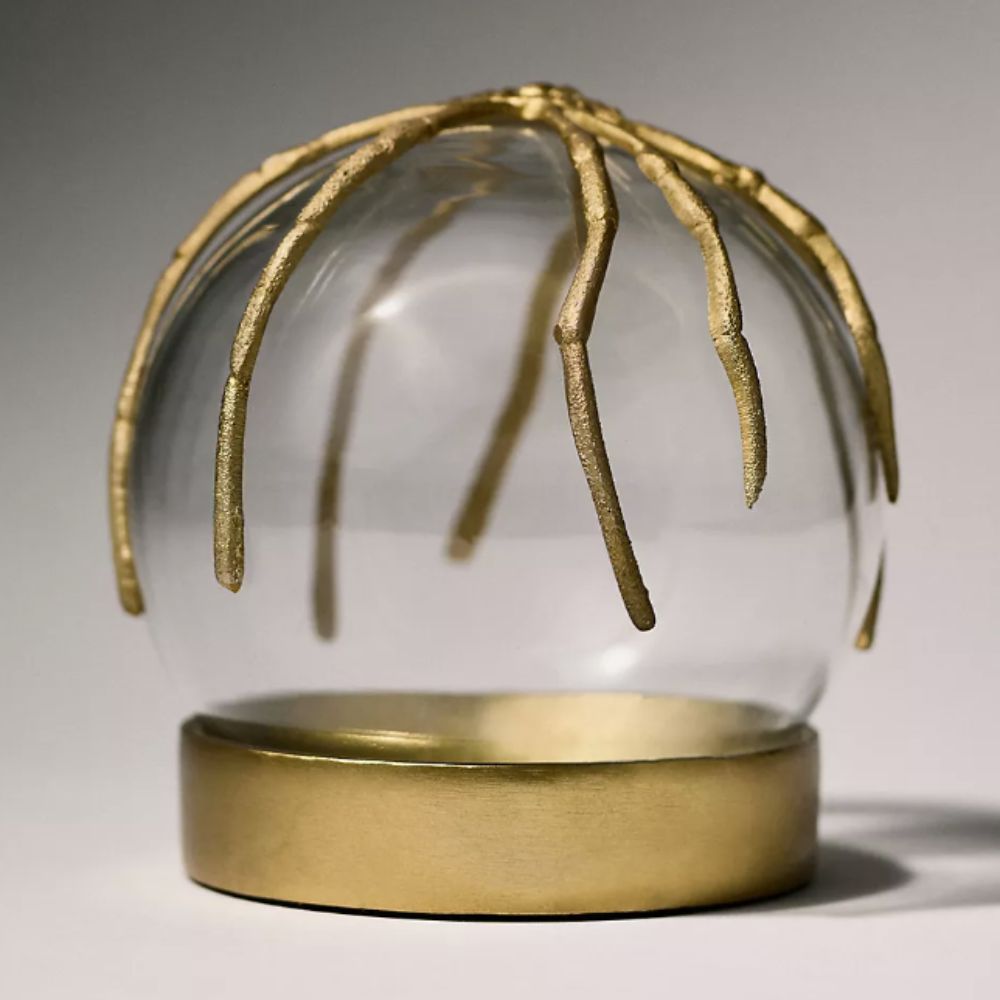 Gold and glass spider cloche terrarium
