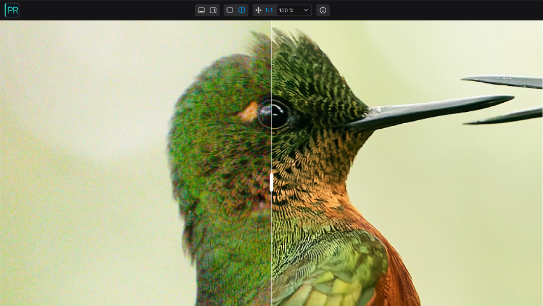 DxO PureRAW 6 screenshot
