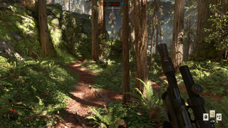 The groundcover effects on Endor are beautiful and plentiful.