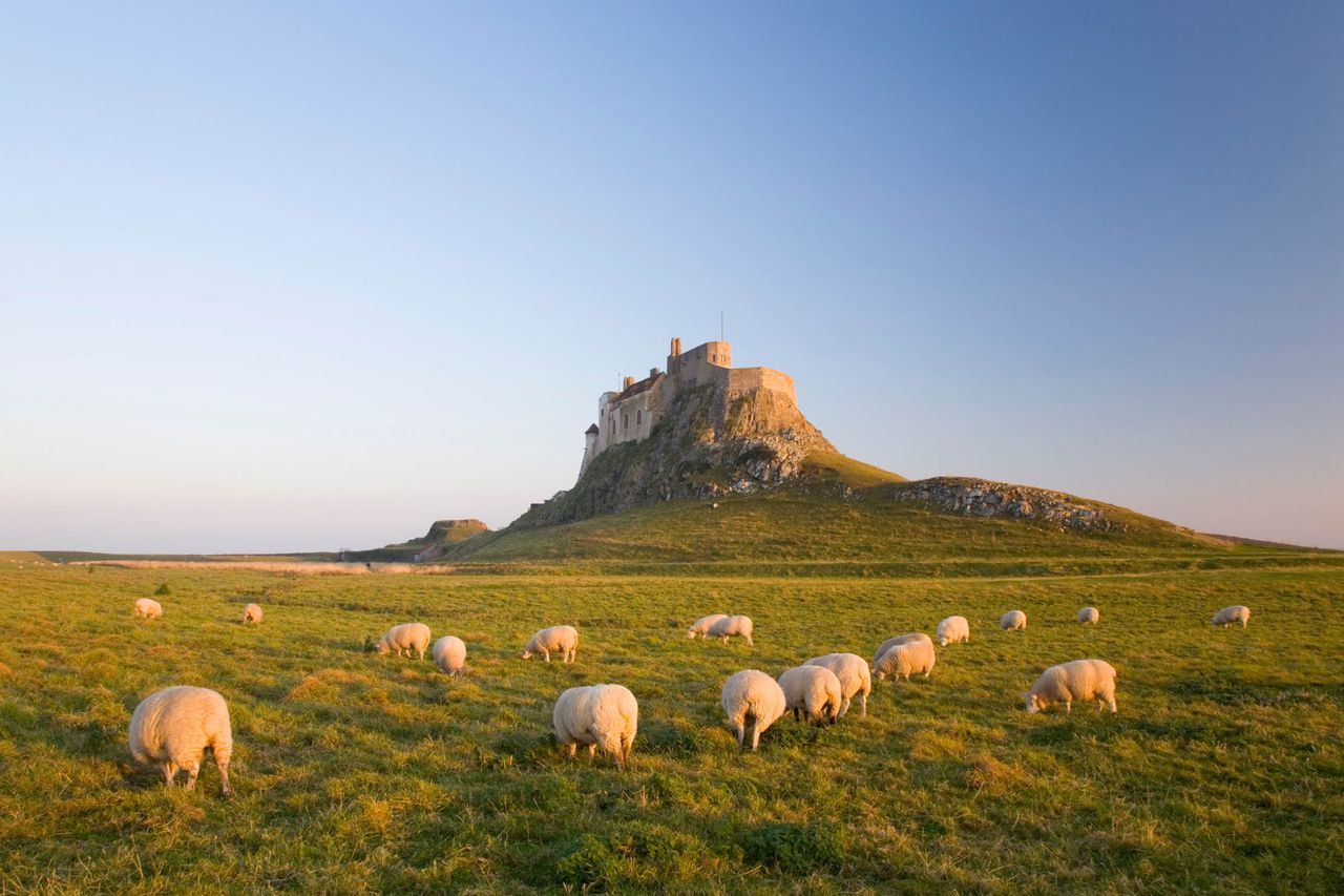 Holy Island, Lindisfarne.