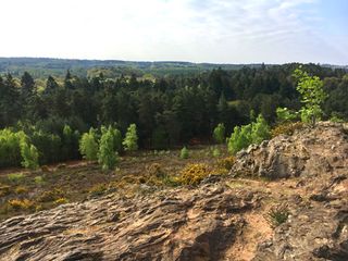 Surrey Hills view