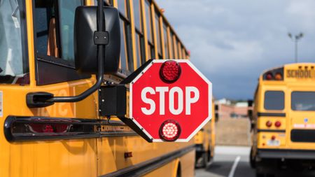 School bus stop sign.