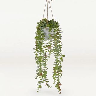 Faux hanging eucalyptus in grey pot