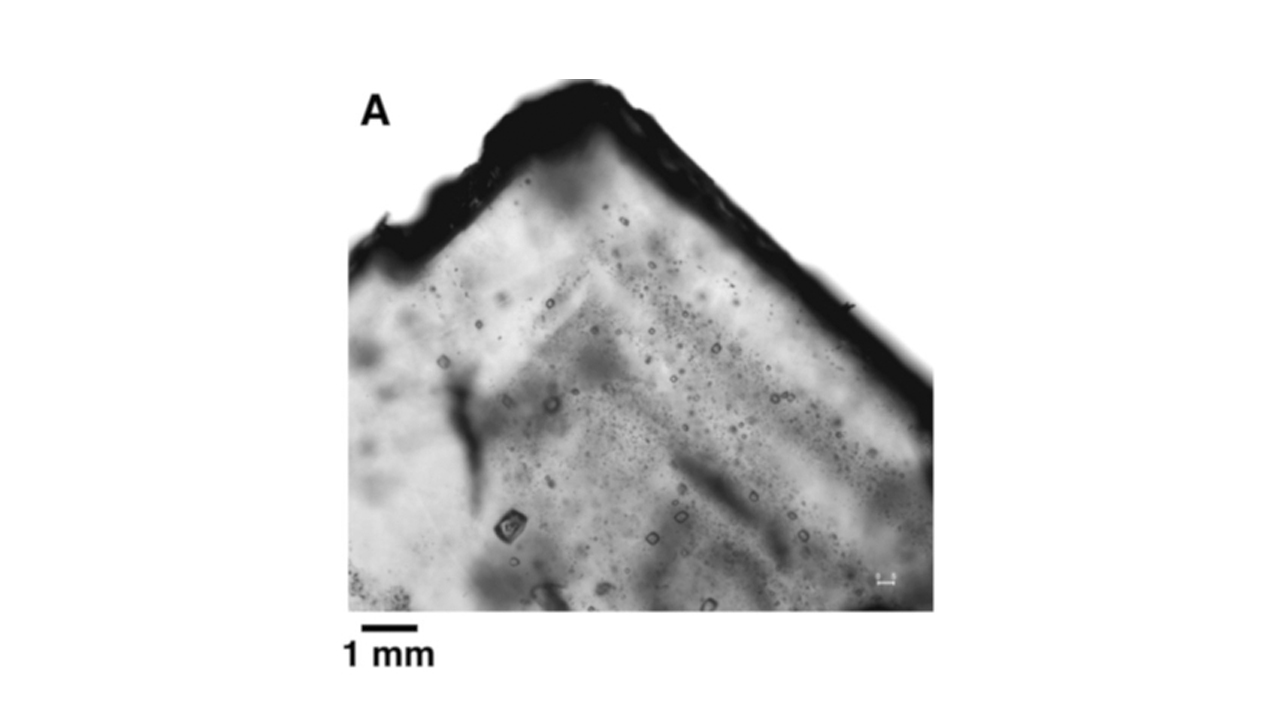 Microorganisms from 830 million years ago persist in ancient Australian salt crystals.