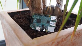 How to automatically water your plants with the Raspberry Pi