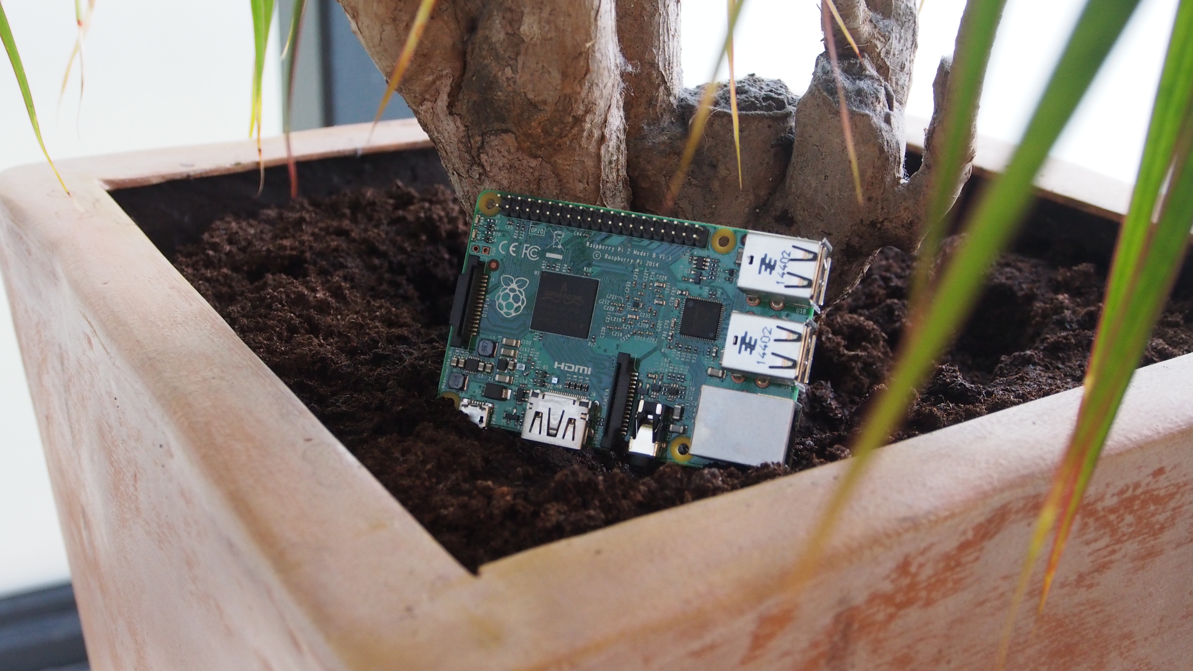 How to automatically water your plants with the Raspberry Pi