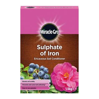 Brown and pink box of Miracle-Gro Sulphate of Iron with blueberries and pink flowers on the front