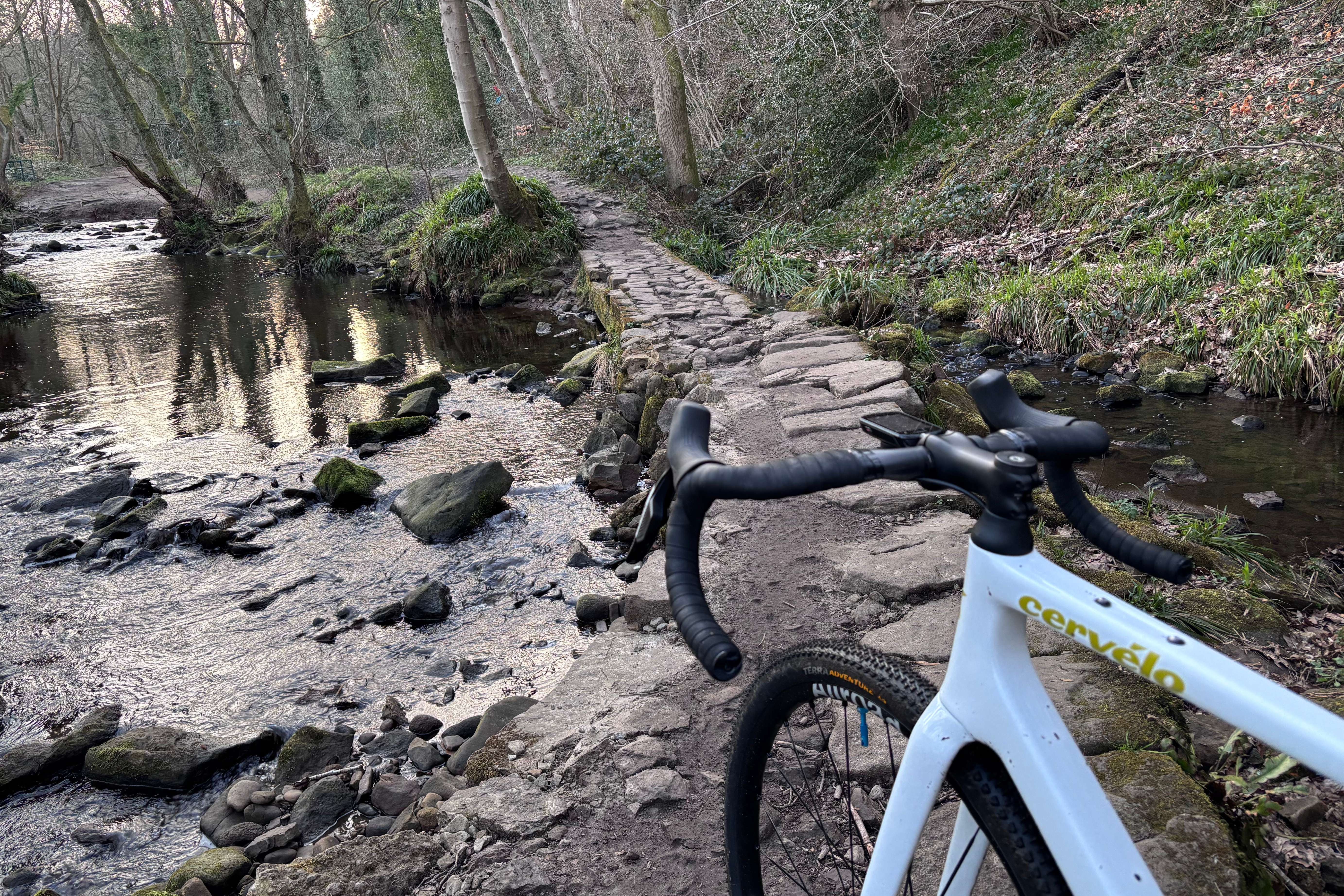 Continental Terra Adventure tyres in the wild