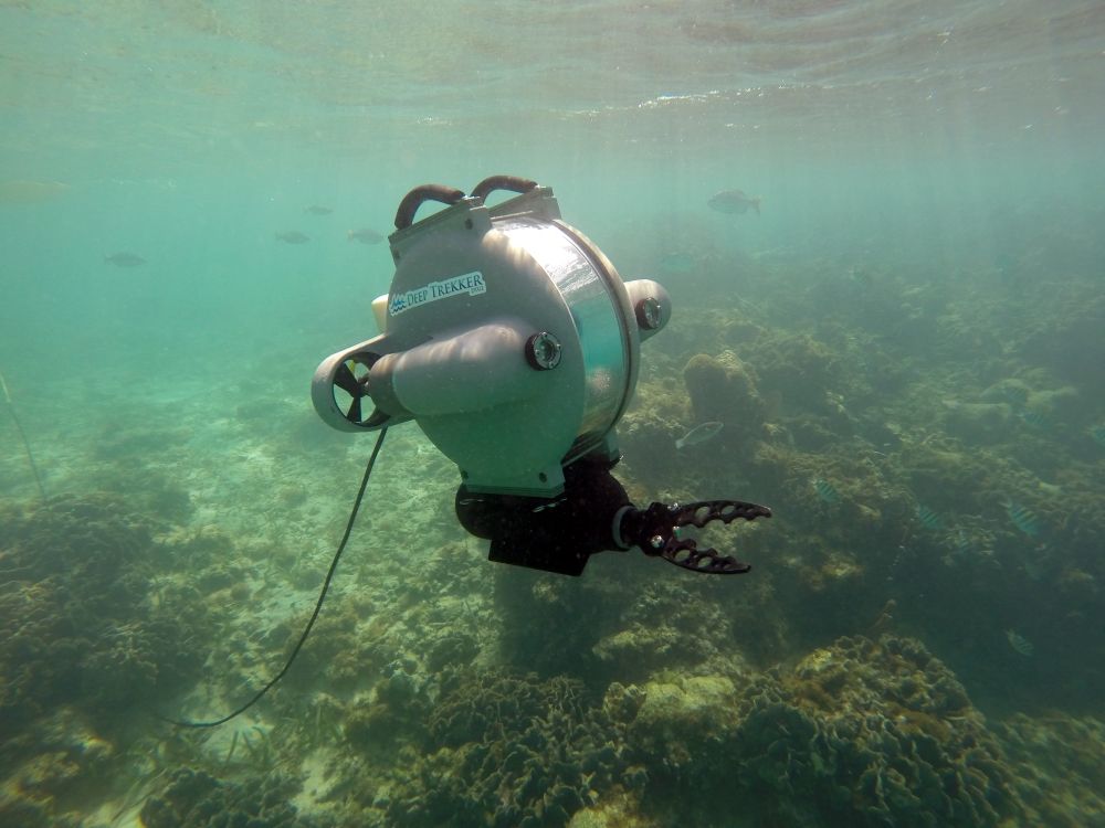 24 Underwater Drones – The Boom in Robotics Beneath the Waves | Live ...