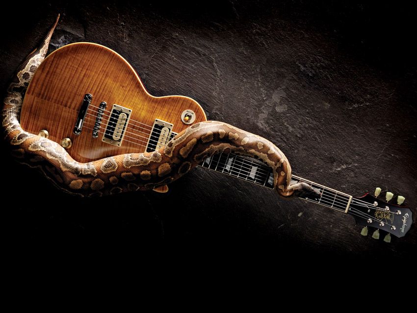 The Appetite Amber finish is gorgeous, like an aged Tennessee bourbon.