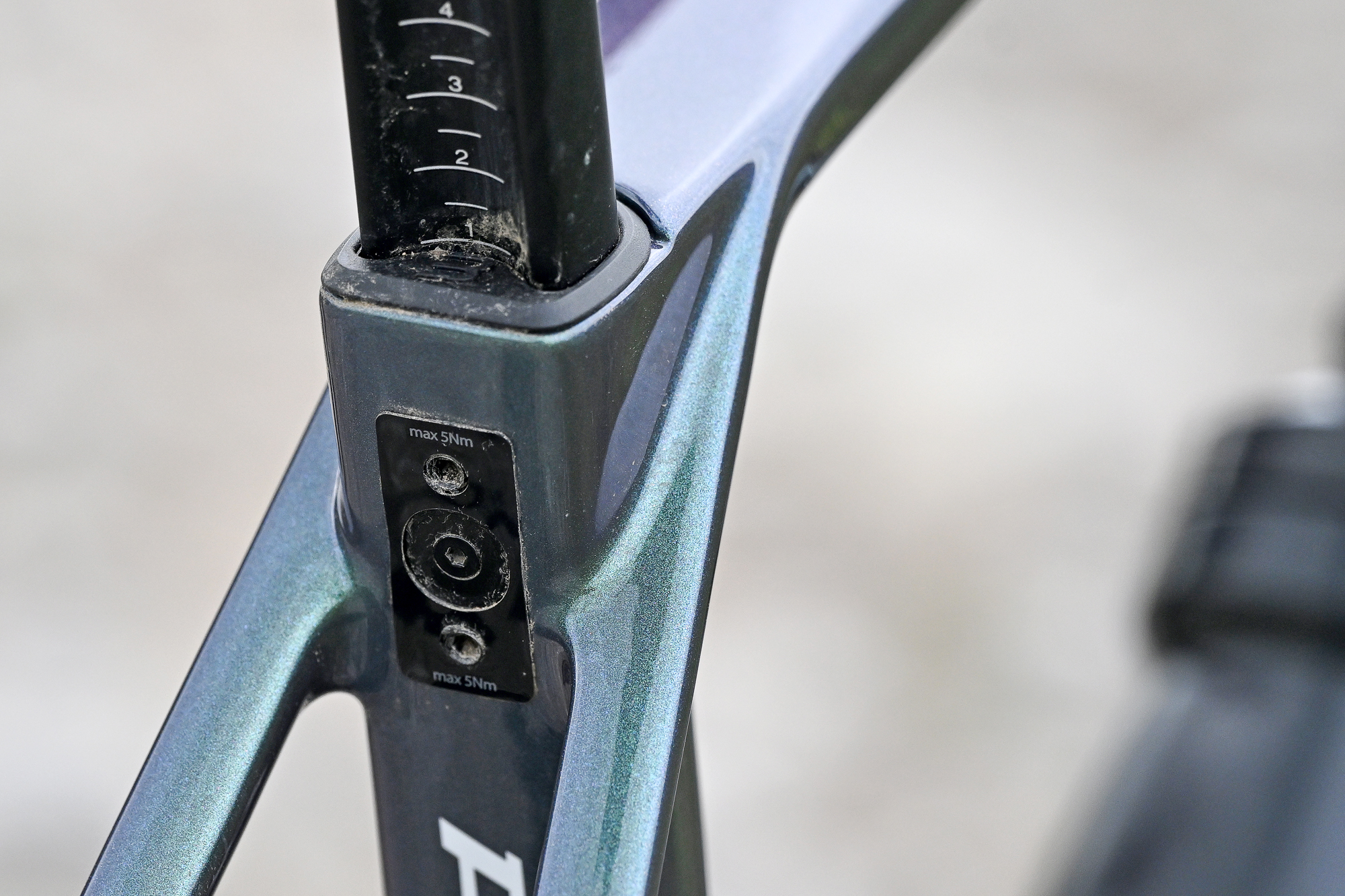 close up of the seatpost clamp bolts on a green gravel bike