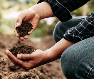 person holding handfuls of soil