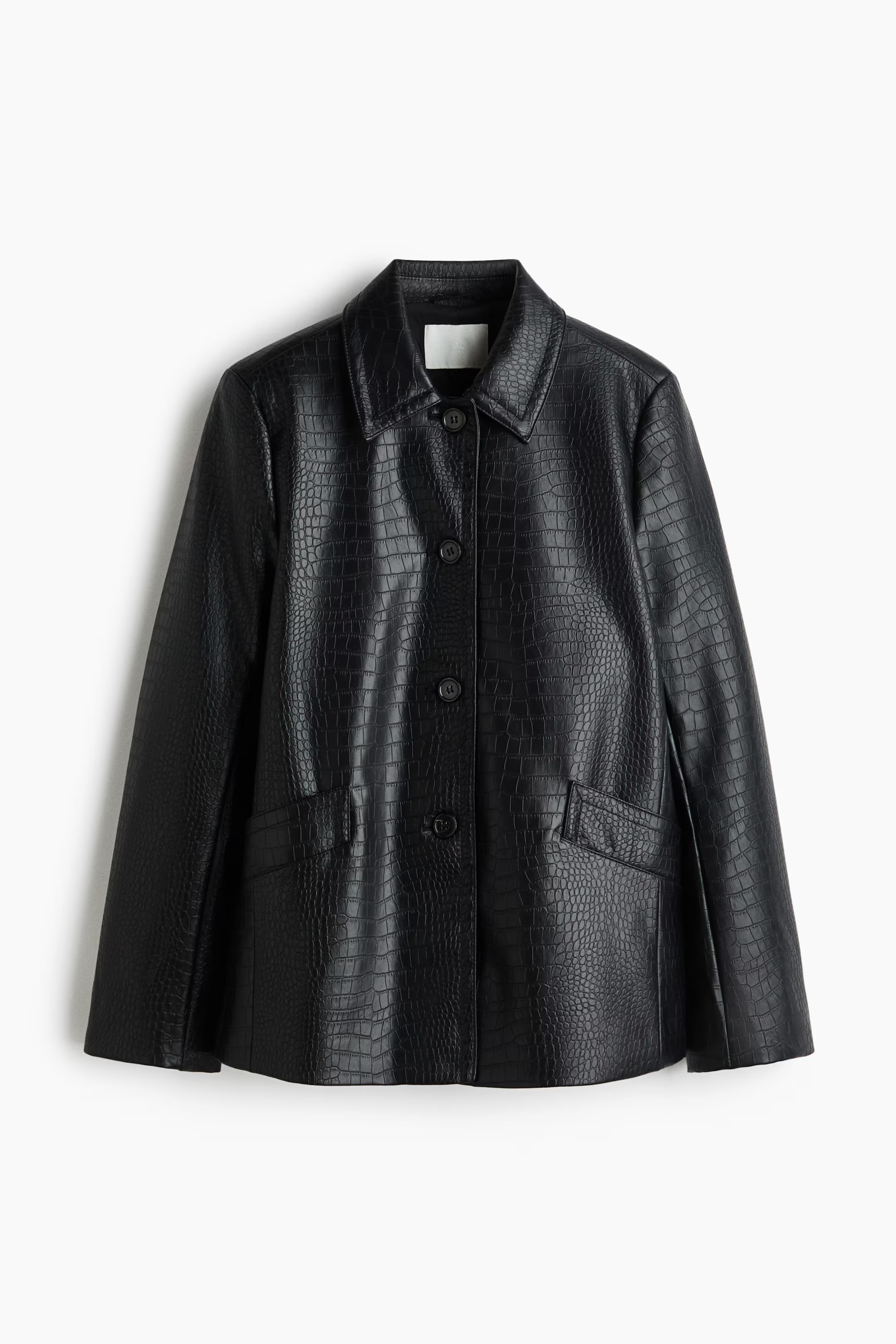 H&amp;amp;M, Coated Jacket