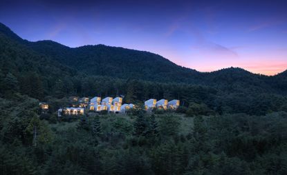 Hotel suites between the trees