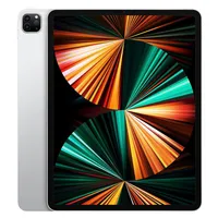 iPad Pro 12.9 (2021) – Renewed: $1,099$909.85 at Amazon