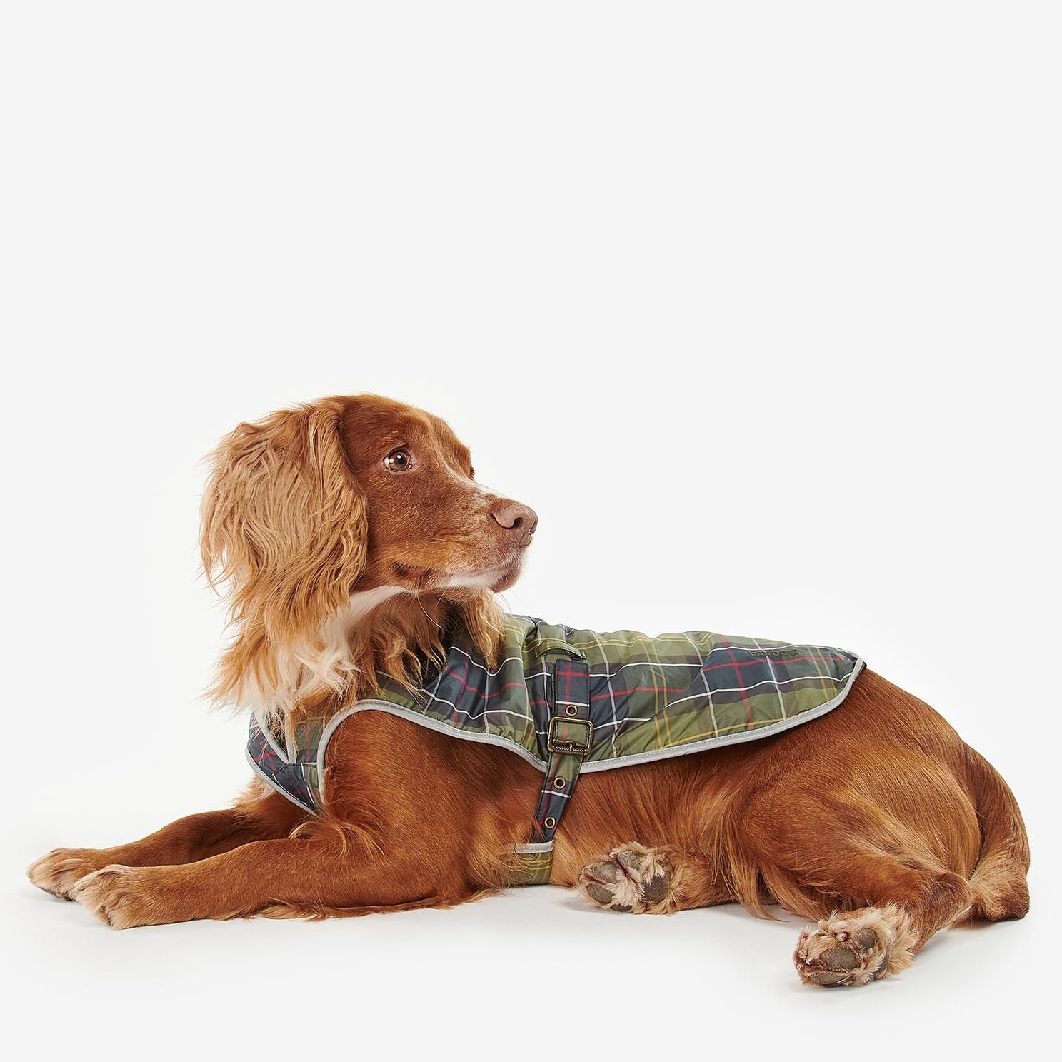Barbour waterproof tartan coat
