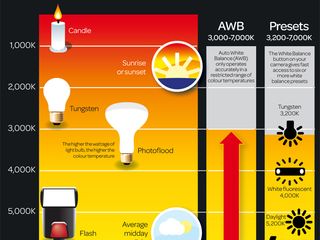 White Balance Temperature Chart