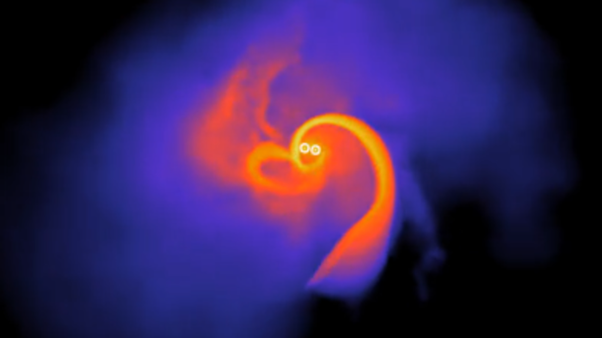 two swirls of orange and purple light form a roughly heart-shaped cloud on a black background