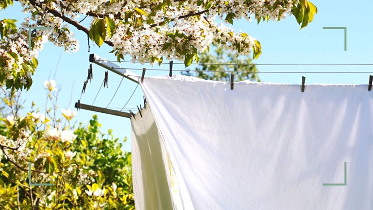 Washing line under blossom tree in the garden with washed sheets pegged out to dry to support debate of how often should you wash your sheets