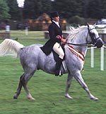 FE7EDEE9-82BF-45AD-A1F6-77E5D34654A9.jpg