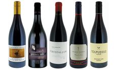 New world Pinot Noir