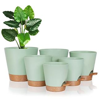 Foragift Self-Watering Plant Pots Indoor, 20/17.5/16.5/15/14/12.5cm Plastic Flowerpots With Drainage Holes Saucer and Reservoir, Indoor Modern Decorative Planters for All House Plants, Green