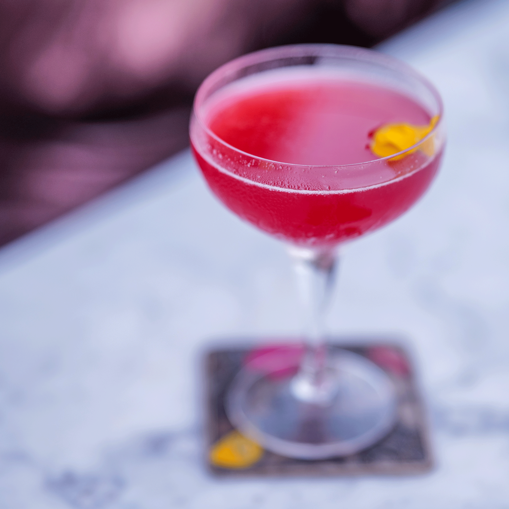 Cosmopolitan Cocktail
