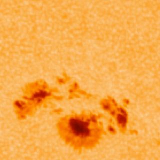 Close-up of Sunspot on March 29