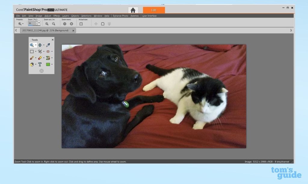 Corel Pro 2019 Full Review Tom's Guide
