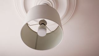The Lifx bulb in a light fitting