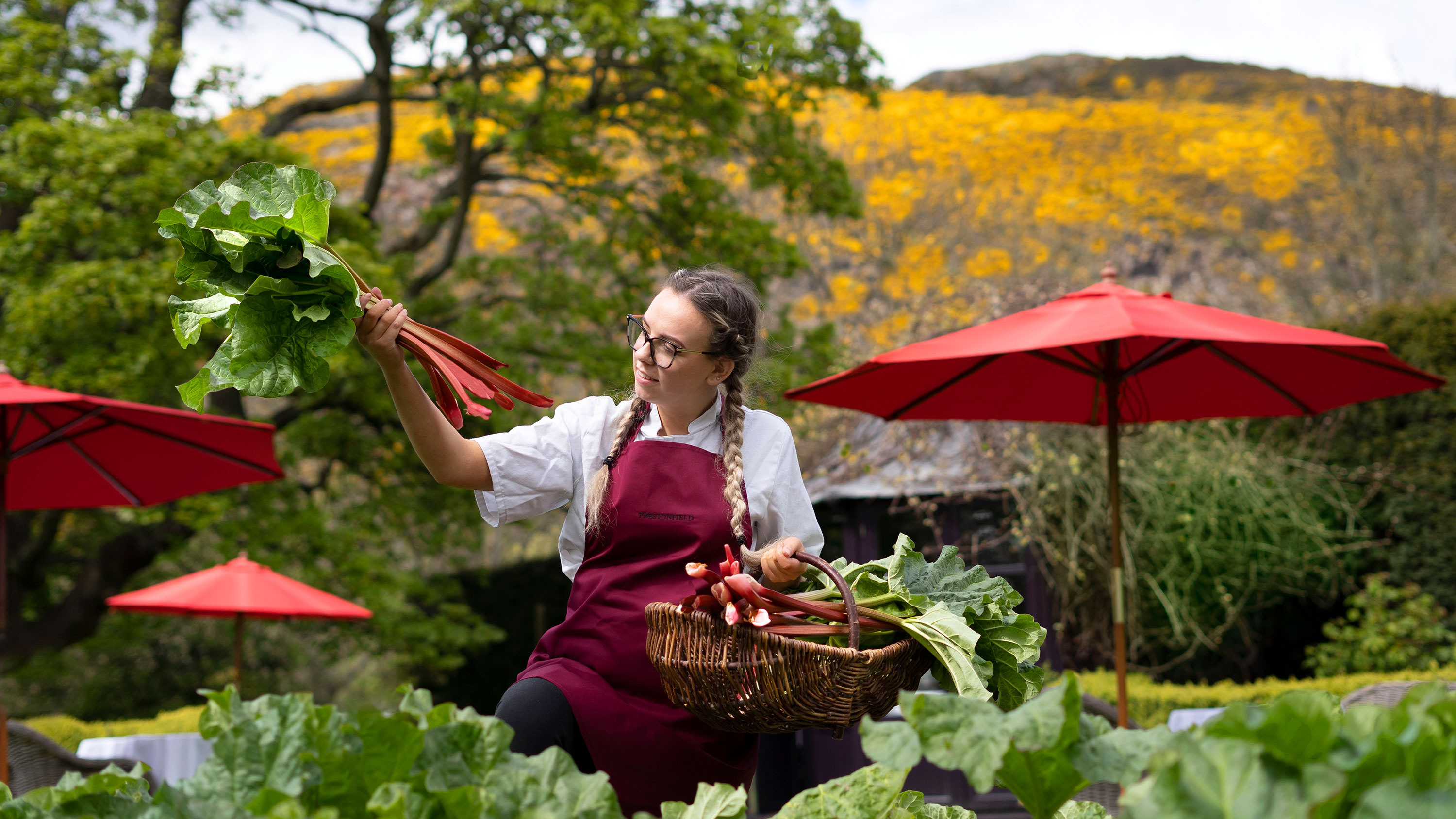 Spring break getaway idea: A woman picking rhubarb at Prestonfield House in Edinburgh