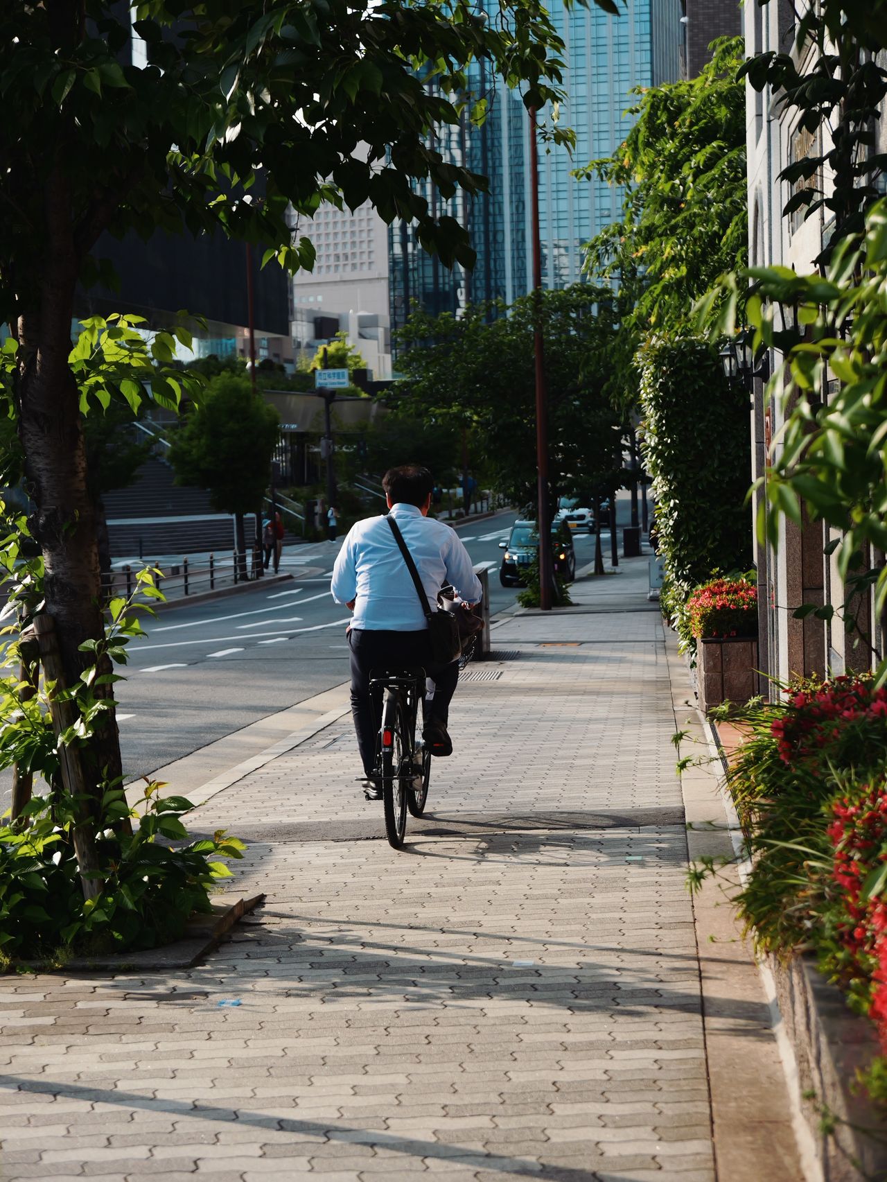 Cyclist riding along a city sidewalk lined with trees.