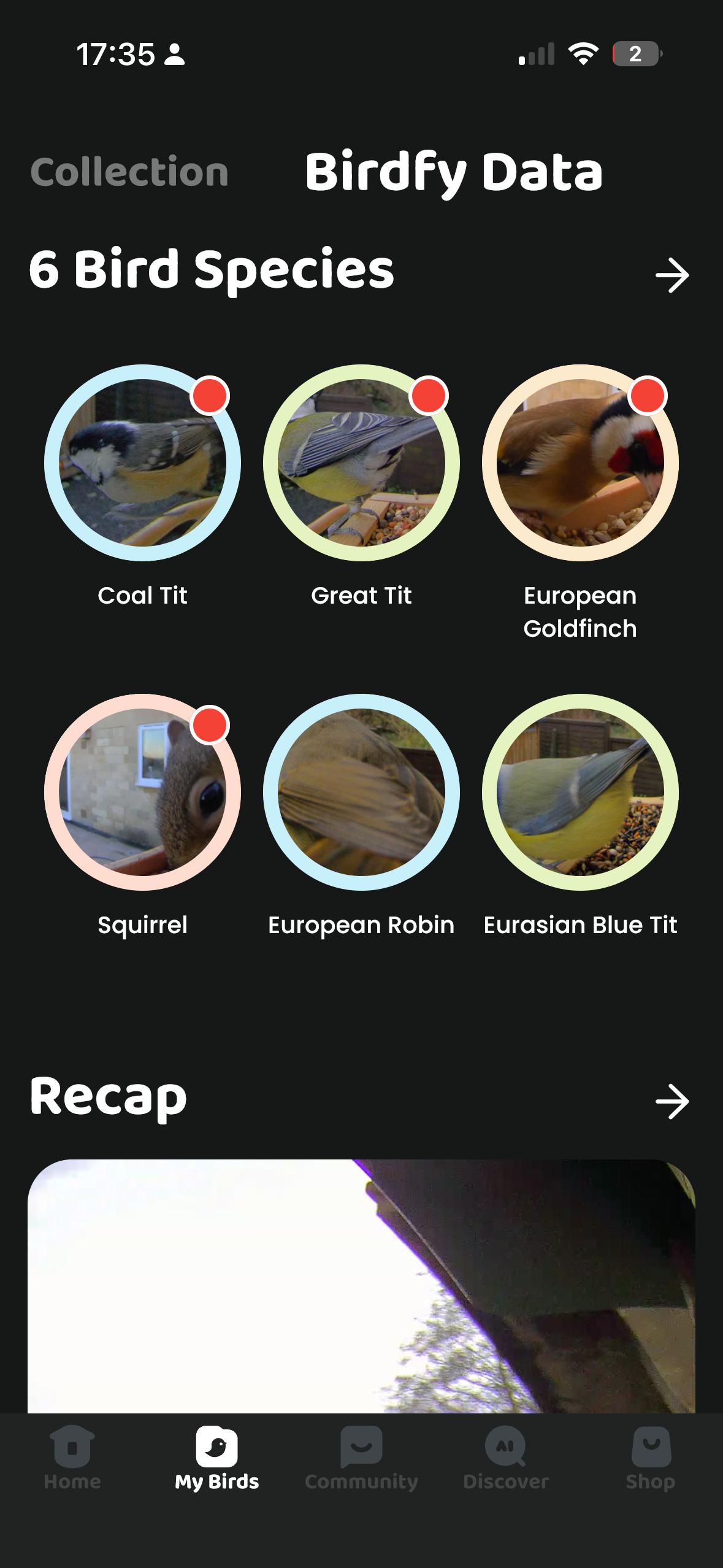 Screenshot from the Birdfy app
