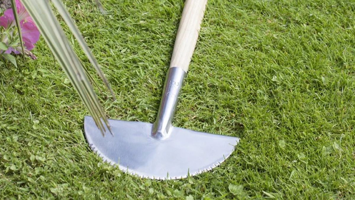 I used this $49 garden tool — and my yard has never looked neater