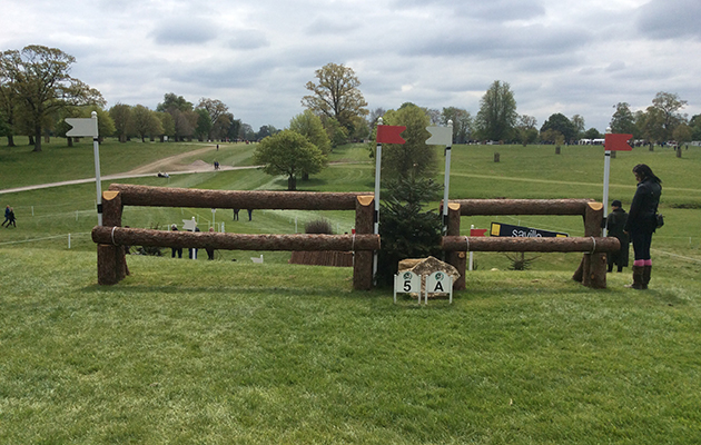 Badminton Fences 2017