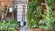 garden with wooden hut and flooring and potted plants