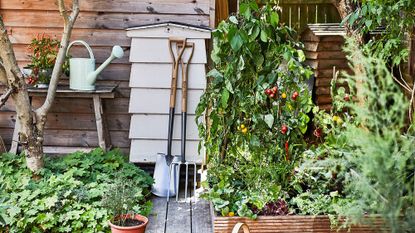 garden with wooden hut and flooring and potted plants
