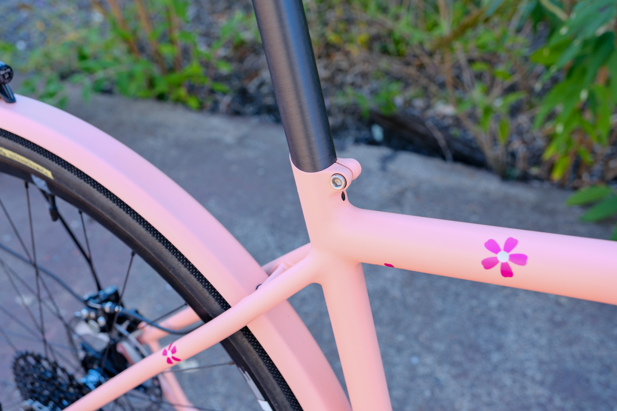 Fiddlehead commuter