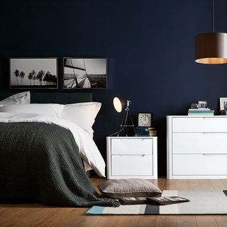 bedroom with wooden floor and blue wall and bedside lamp