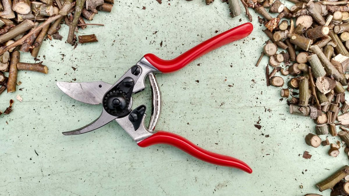Best Pruning Shears: