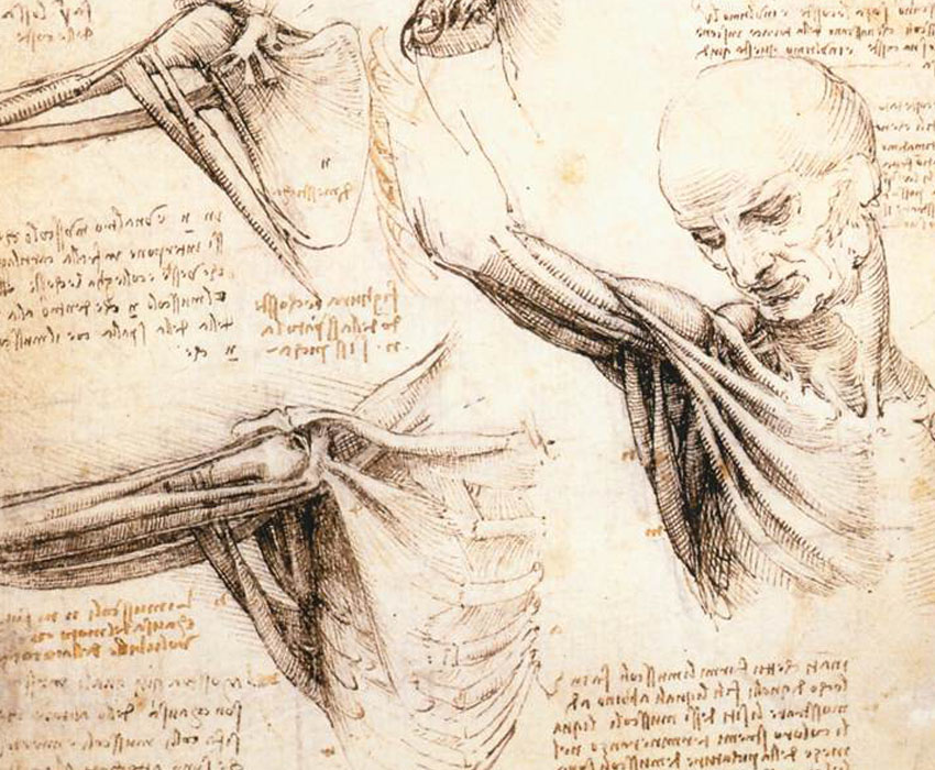 Flying Machines? 5 Da Vinci Designs That Were Ahead of Their Time ...